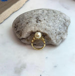 10.6mm Strong luster South Sea Golden natural Ocean Pearl s925 silver adjustable daily office wear ring. Gift for her birthday.