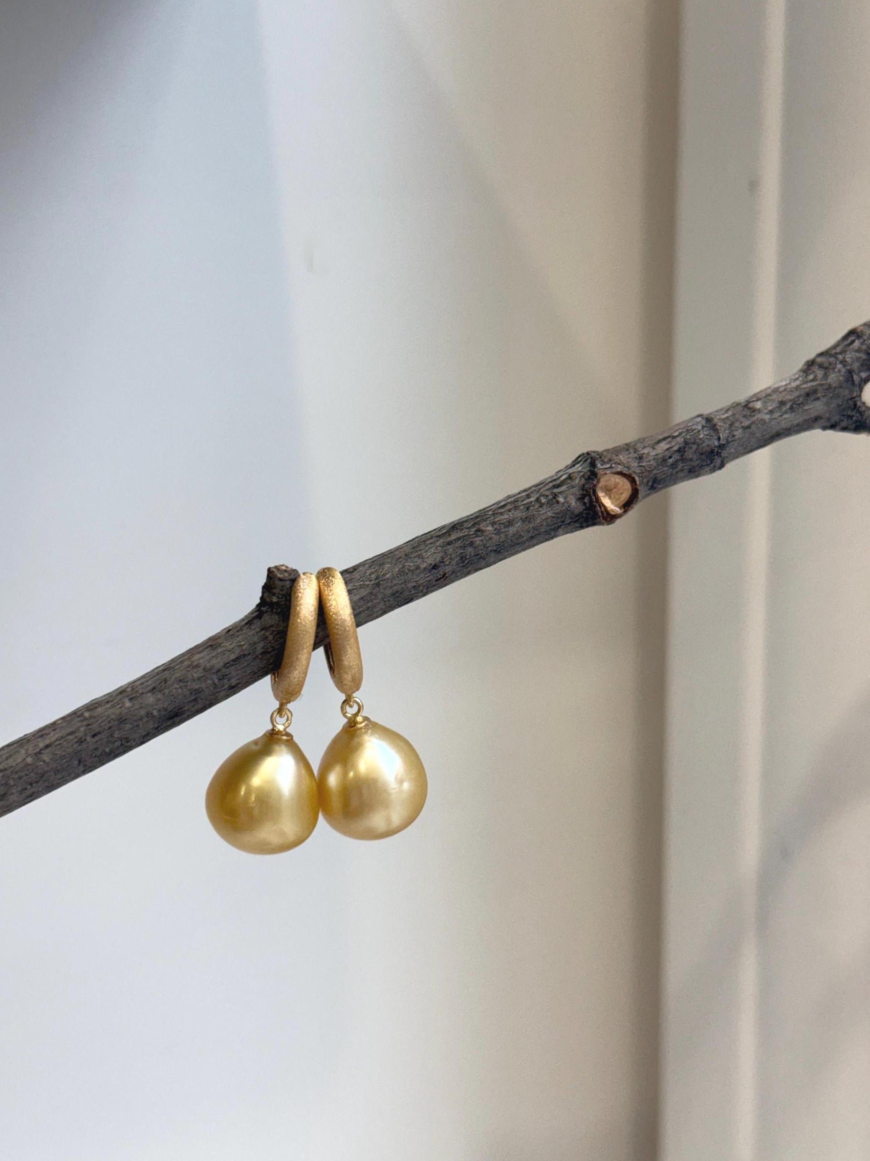 Elly’s 12.4mm South sea ultra golden ocean Pearls Earrings hoops: Extreme luster mirrored, 3cm high, S925 silver cool earrings hoops. gift for her