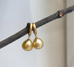 Elly’s 12.4mm South sea ultra golden ocean Pearls Earrings hoops: Extreme luster mirrored, 3cm high, S925 silver cool earrings hoops.