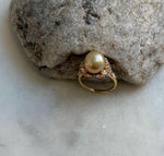 Elly’s 10.8mm South sea pure golden ocean pearl Ring: Extreme luster mirrored, S925 silver with gold plated adjustable floral Ring. gift for her