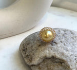Elly’s 14.2mm South sea Tea gold ocean pearl Ring: Extreme luster mirrored, 2cm dia, S925 silver with gold plated adjustable Vintage Ring. gift for her