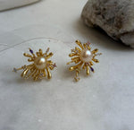 Elly’s 8.2mm Genius natural South sea golden ocean Pearls Fireworks Earrings: Extreme luster mirrored, S925 silver earrings. high quality pearl fancy cool earrings gift for her birthday party