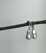 Elly’s Australian south sea ocean white silver Pearls dazzling earrings hoops: Extreme luster mirrored, To 20.7mm, s925 silver earrings. gift for her birthday