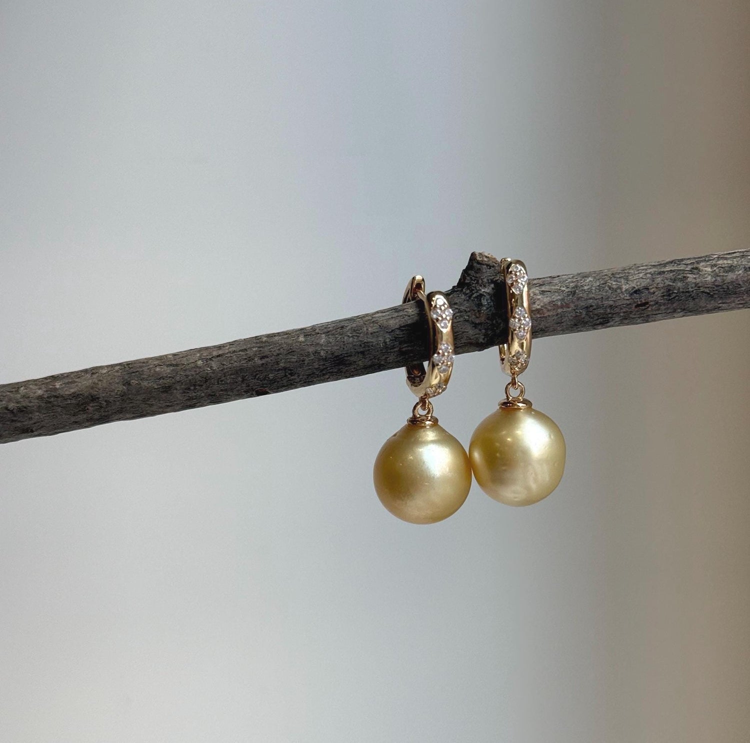 Elly’s 10.5mm Genius South sea light golden ocean Pearls Earrings hoops: Strong luster, 2.6cm high, S925 silver cool earrings. good for her birthday gift