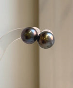 Elly’s 13.1mm Large Tahitian Black Platinum ocean Pearls Earrings Studs: Extreme luster Mirrored,S925 silver minimalist earrings.