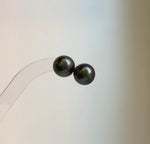 Elly’s Tahitian ocean pearls S925 silver minimalist earrings. high quality black pearl earrings for her