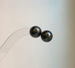 Elly’s Tahitian ocean pearls S925 silver minimalist earrings. high quality black pearl earrings for her holiday