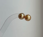 Elly’s Au750 18K real gold 11.7mm Genius natural South sea Deep Tea Gold ocean Pearls Earrings studs: Extreme luster mirrored.high quality golden pearls 18k gold earrings studs for her