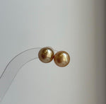 Elly’s Au750 18K real gold 11.7mm Genius natural South sea Deep Tea Gold ocean Pearls Earrings studs: Extreme luster mirrored.high quality golden pearls 18k gold earrings studs for her daily office wear