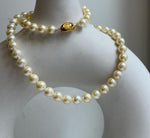 Elly’s 57pcs Akoya Golden ocean pearls necklace:Extreme luster mirrored, knotted 18”, S925 silver necklace strand. high quality golden ocean pearls necklace strand for her anniversary