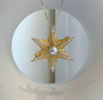 Elly’s South Sea ivory champagne ocean Pearl Brooch Pendant 2in1: extreme luster mirrored,9.4mm,4.7cm dia.no chain. daily office star brooch for her holiday