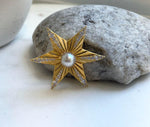 Elly’s South Sea ivory champagne ocean Pearl Brooch Pendant 2in1: extreme luster mirrored,9.4mm,4.7cm dia.no chain. daily office star brooch for her birthday