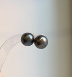 Elly’s 13.1mm Large Tahitian Black Platinum ocean Pearls Earrings Studs: Extreme luster Mirrored,S925 silver minimalist earrings.