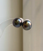 Elly’s 13.1mm Large Tahitian Black Platinum ocean Pearls Earrings Studs: Extreme luster Mirrored,S925 silver minimalist earrings.