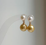 Elly’s 7.5-10.7mm South sea golden Akoya ocean Pearls Earrings: Extreme luster Mirrored, 2.2cm high, S925 silver earrings. high quality golden pearl earrings for her