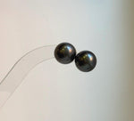 Elly’s Tahitian ocean pearls S925 silver minimalist earrings. high quality black pearl earrings for her