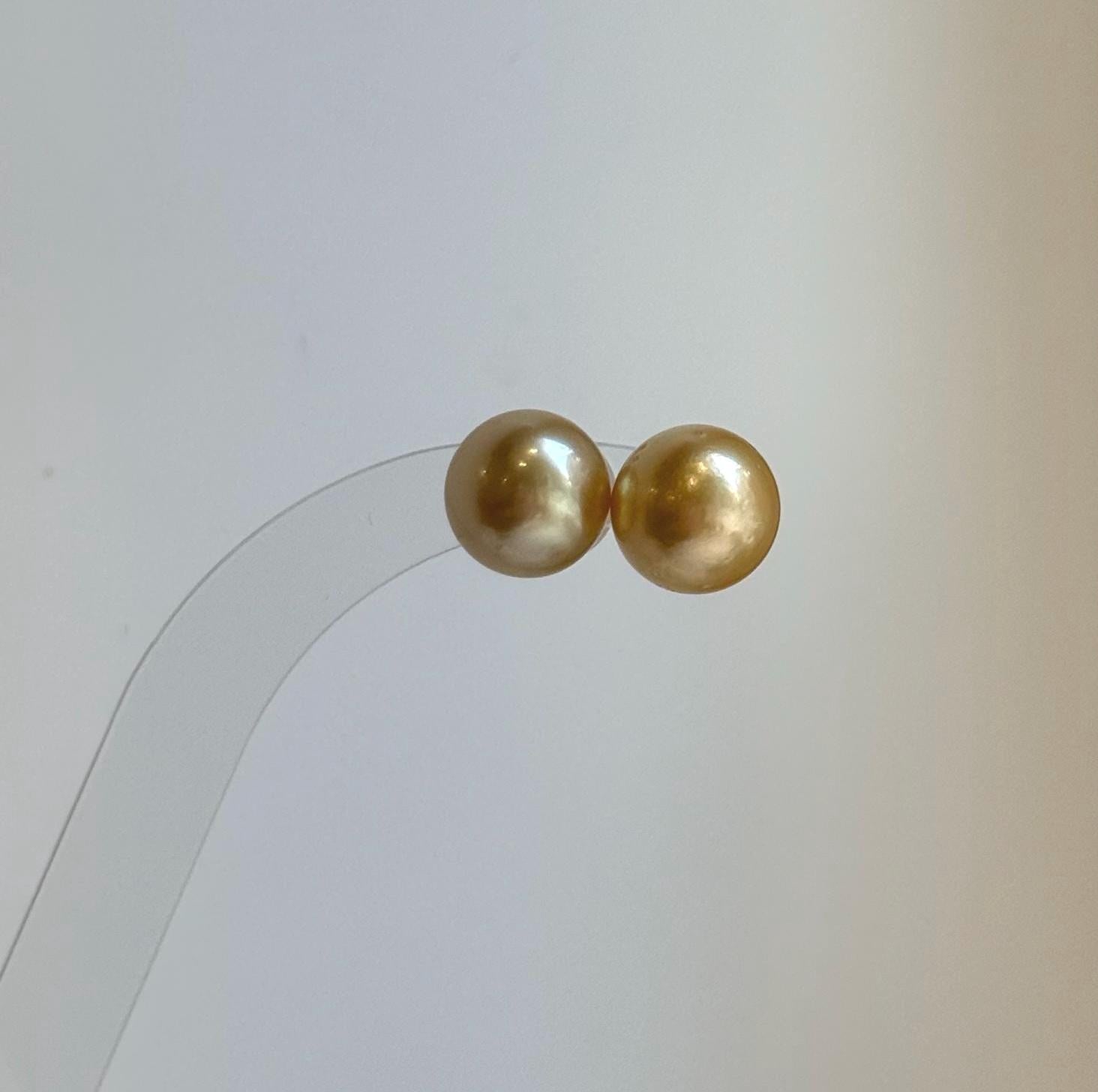 Elly’s 11.9mm Genius natural South sea Deep Tea Gold ocean Pearls Earrings studs: Extreme luster, S925 silver minimalist earrings studs.