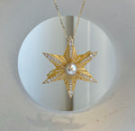 Elly’s South Sea ivory champagne ocean Pearl Brooch Pendant 2in1: extreme luster mirrored,9.4mm,4.7cm dia.no chain. daily office star brooch for her
