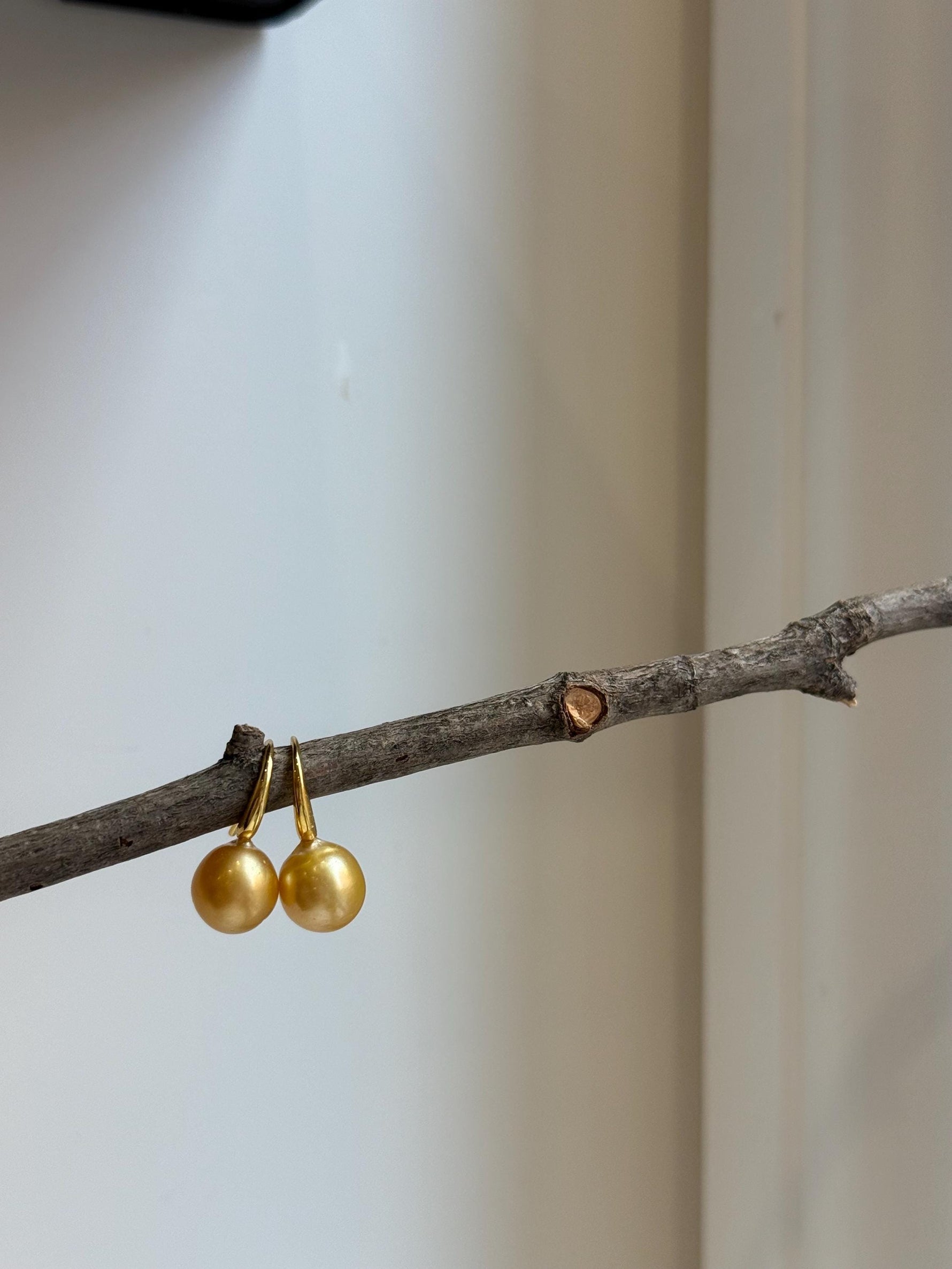 Elly’s 9.6mm Genius South sea deep golden ocean Pearls Earrings hooks: Extreme luster mirrored, 2.2cm high, S925 silver earrings.