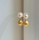 Elly’s 7.5-10.7mm South sea golden Akoya ocean Pearls Earrings: Extreme luster Mirrored, 2.2cm high, S925 silver earrings.