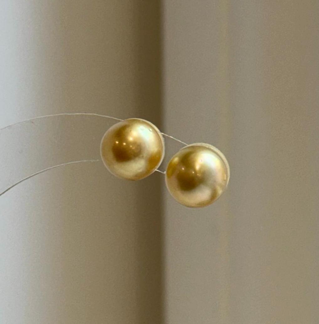 Elly’s 9.6mm Genius natural South sea deep gold ocean Pearls Earrings studs: Extreme luster, S925 silver minimalist earrings studs.