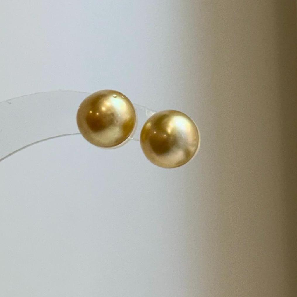 Elly’s 9.6mm Genius natural South sea deep gold ocean Pearls Earrings studs: Extreme luster, S925 silver minimalist earrings studs.