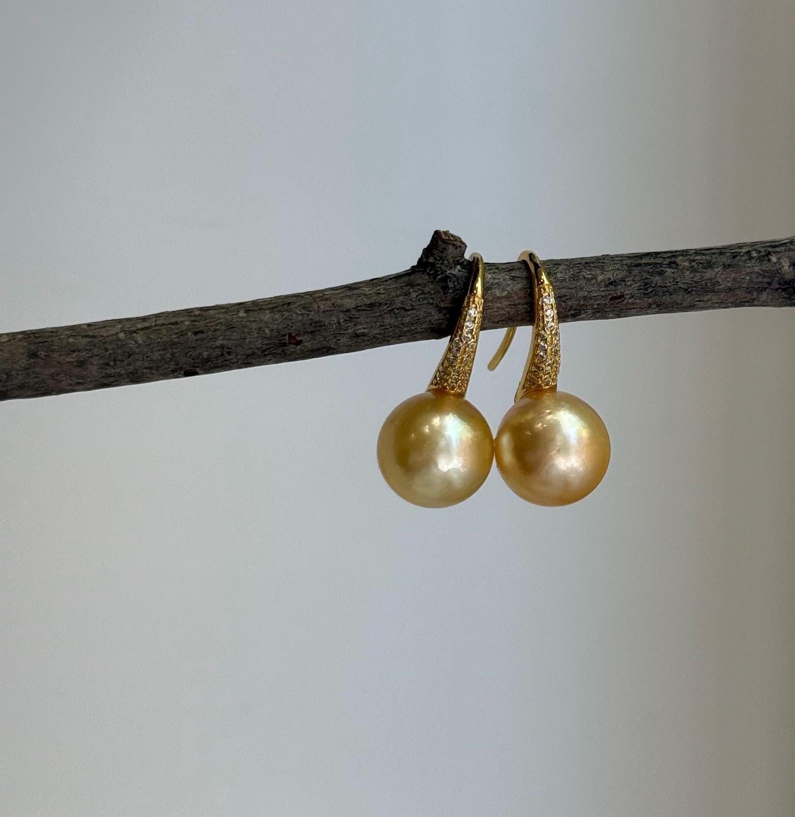 Elly’s 11.5mm Genius South sea golden ocean Pearls High-heel Earrings hooks: Extreme luster, 2.5cm high, S925 silver cool earrings.