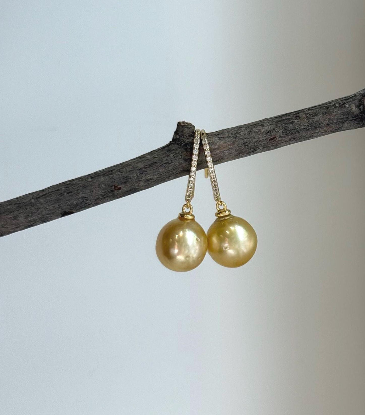 south sea golden ocean pearls sterling silver Earrings hooks for her