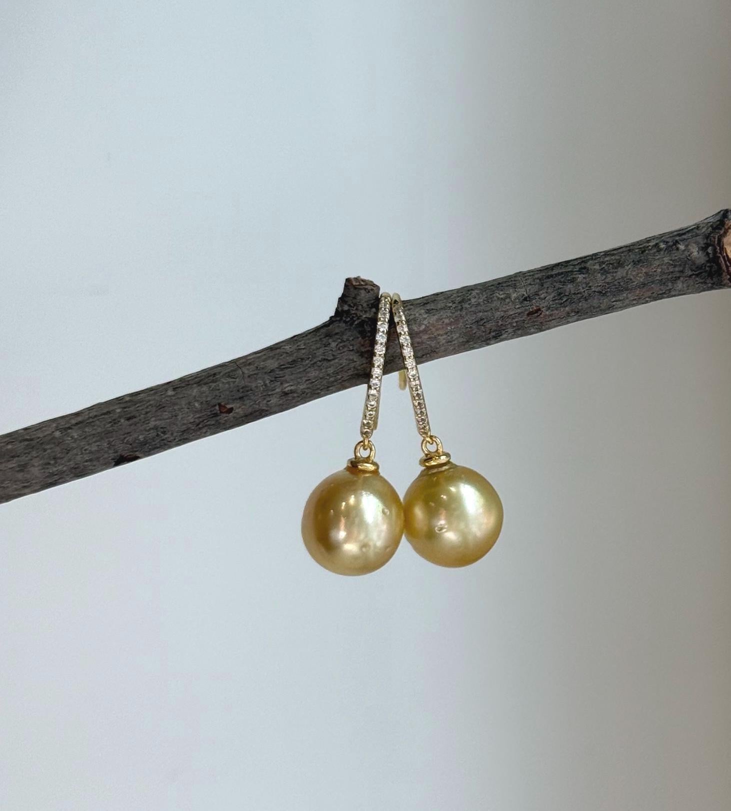 south sea golden ocean pearls sterling silver Earrings hooks for her