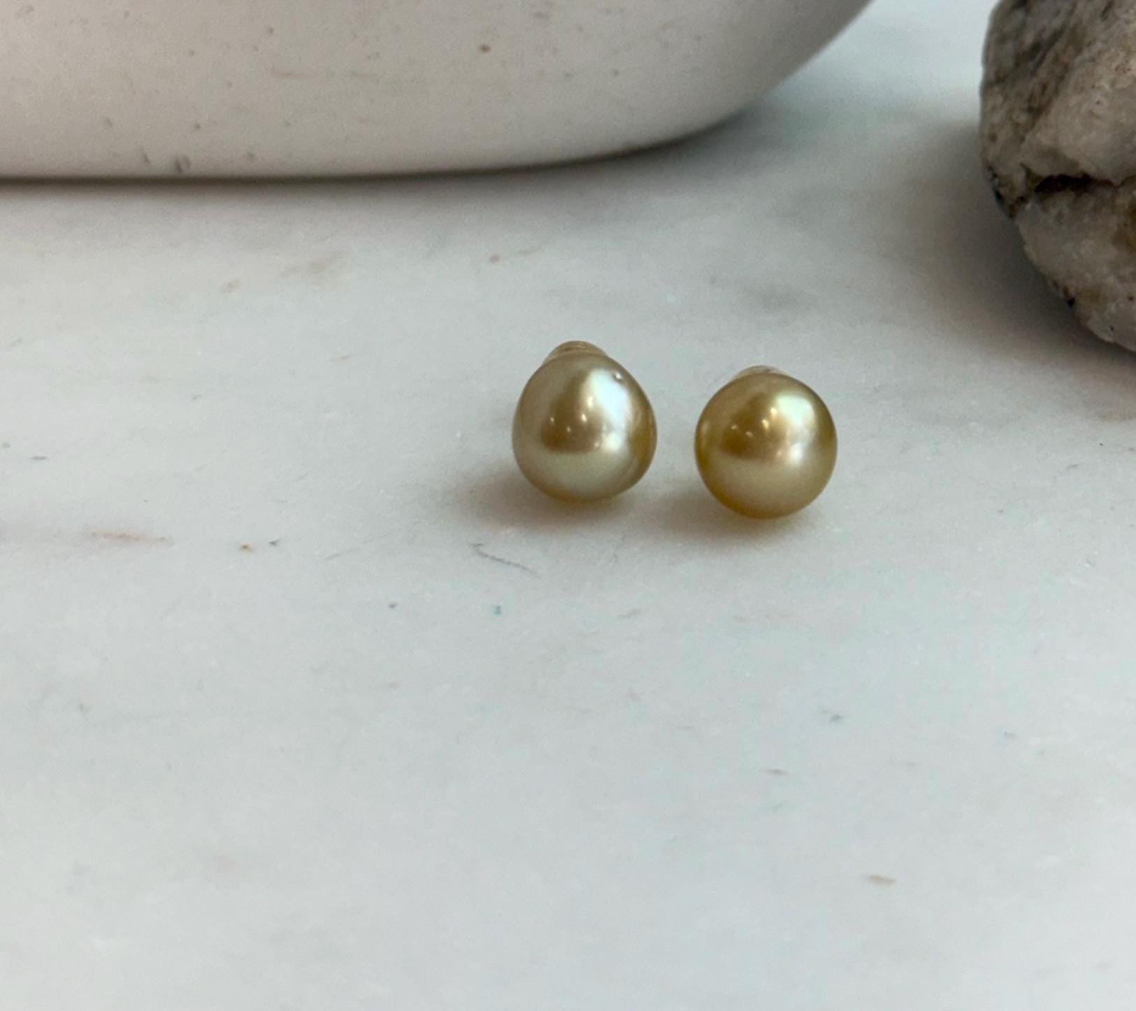 deep tea gold south sea golden ocean pearls earrings studs for her