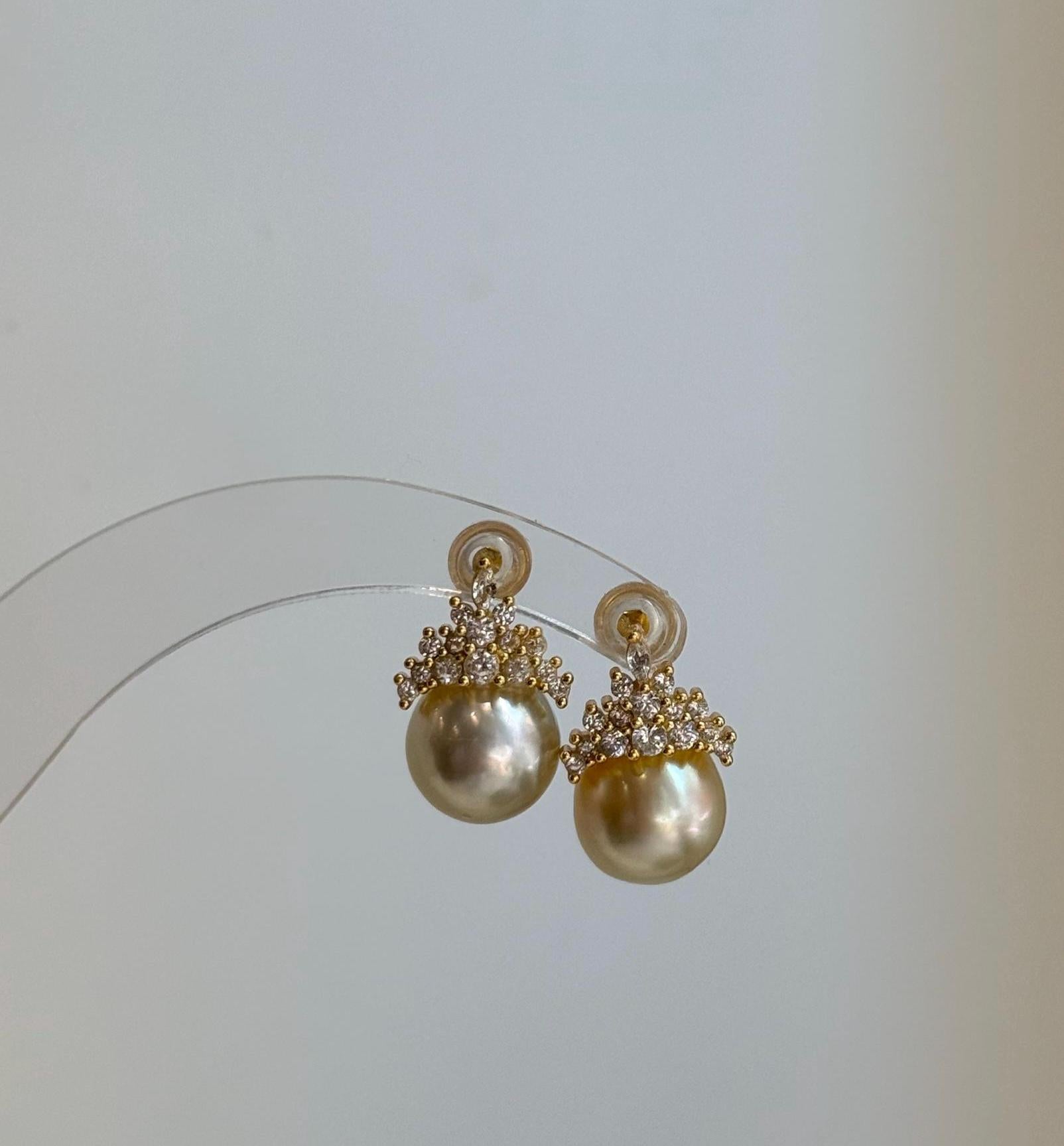 south sea champagne gold ocean pearls cool earrings for her