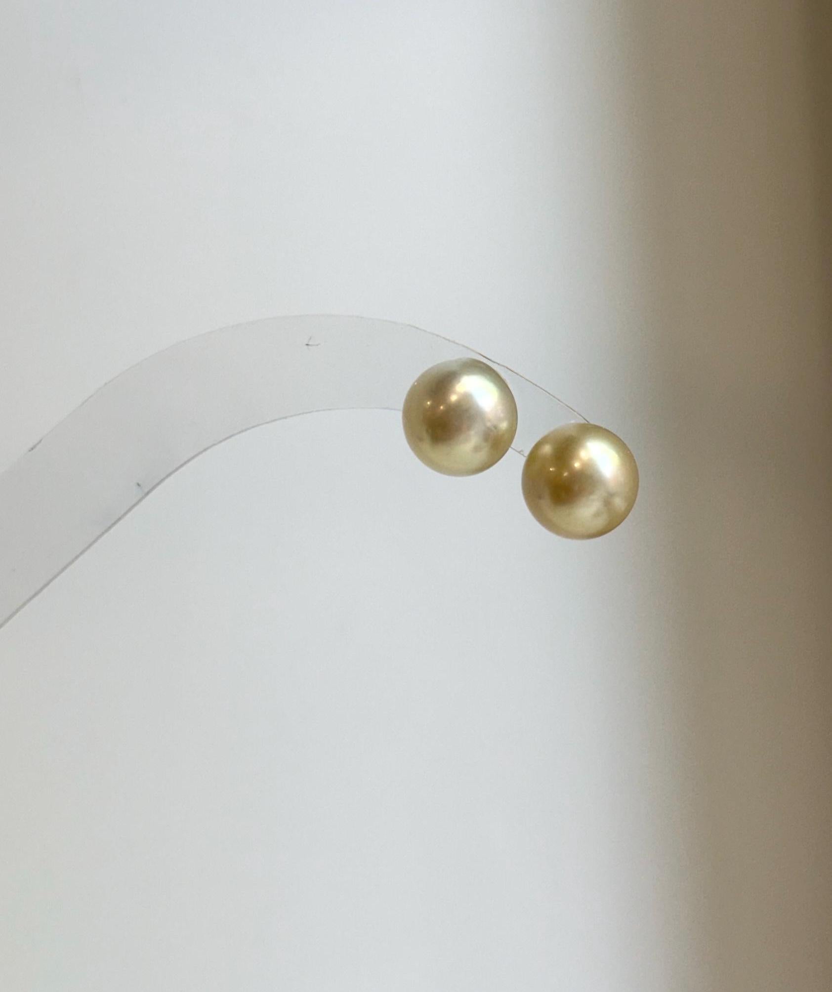 Elly’s 9.8mm Genius natural South sea Champagne Gold ocean Pearls Earrings studs: Extreme luster, S925 silver minimalist earrings studs.