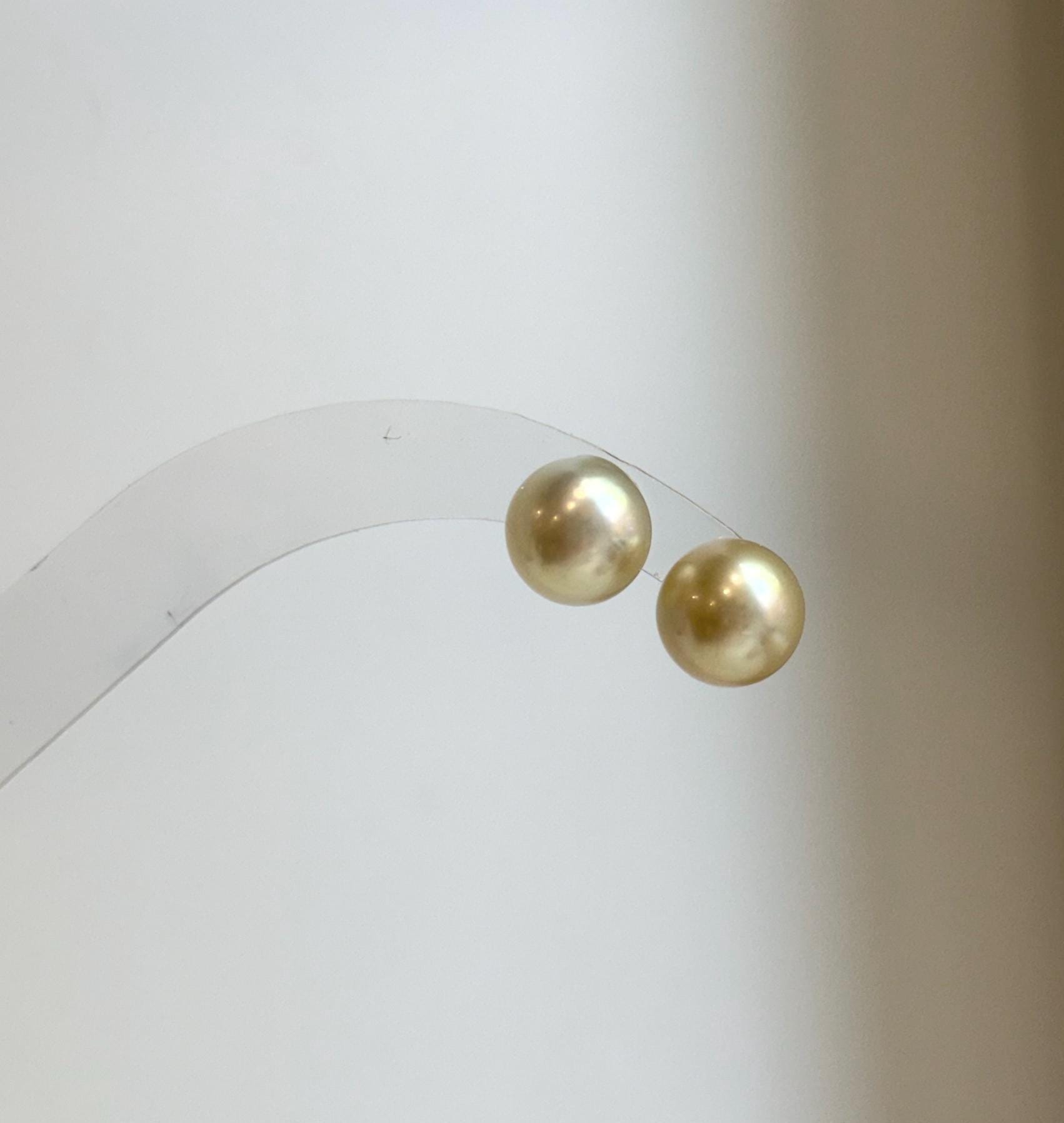 Elly’s 9.8mm Genius natural South sea Champagne Gold ocean Pearls Earrings studs: Extreme luster, S925 silver minimalist earrings studs.
