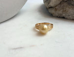 Elly’s 10mm South sea ultra gold ocean pearl Ring: Extreme luster mirrored, S925 silver with gold plated adjustable Vintage Ring.