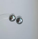 Elly’s 10mm Tahitian Silver Platinum ocean Pearls Earrings studs: Extreme luster Mirrored, S925 silver minimalist earrings.