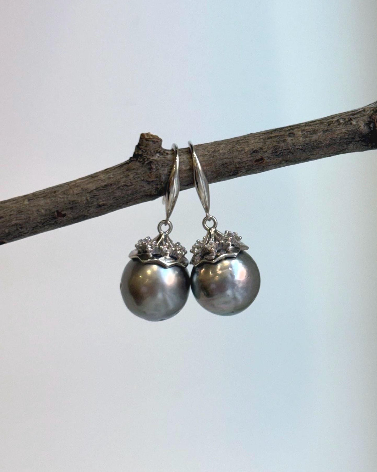 Elly’s 11.1mm Tahitian Platinum ocean Pearls Earrings hooks: Extreme luster Mirrored, 2.7cm high, S925 silver cool fancy earrings.