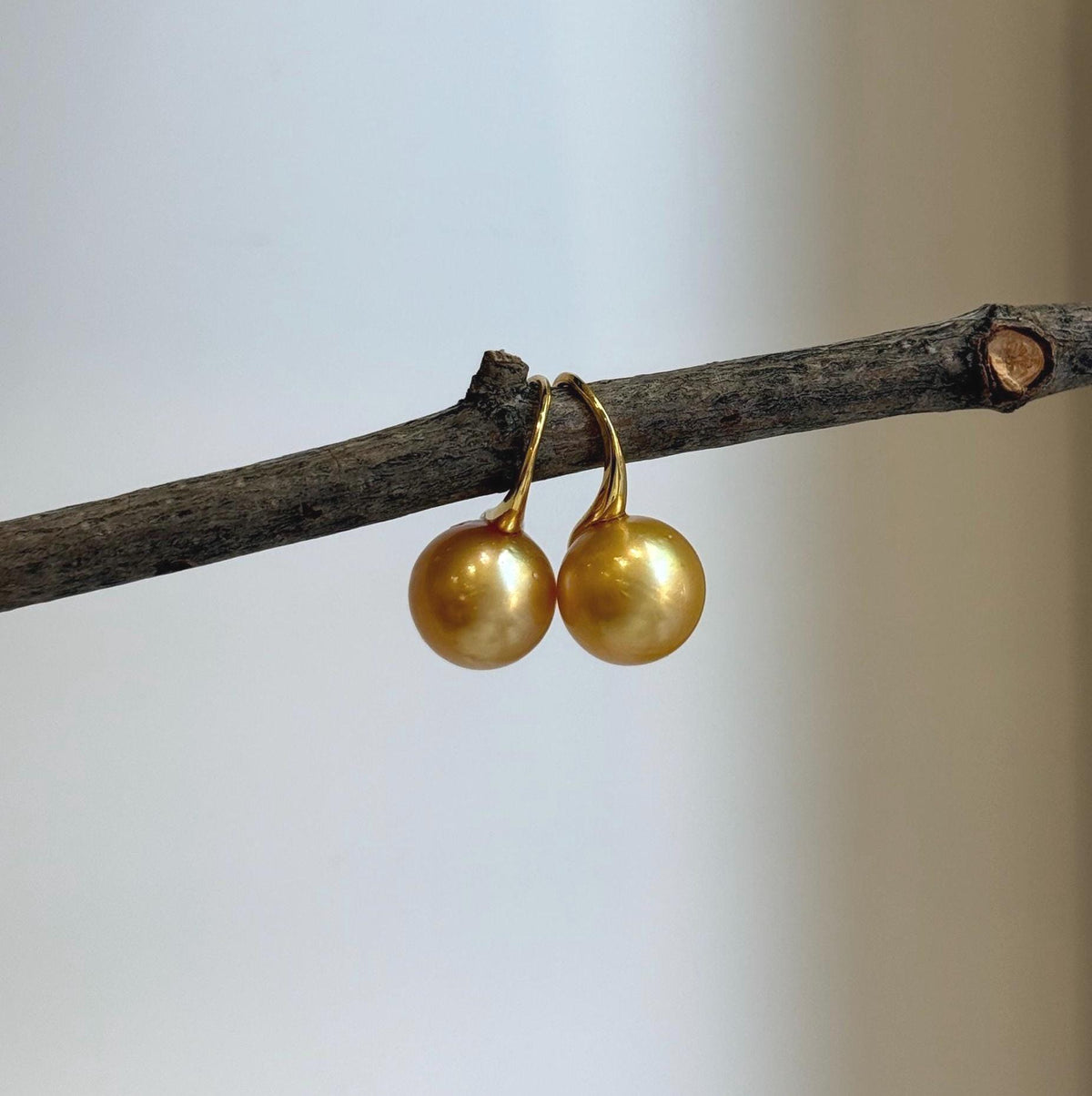 Elly’s 11.2mm Genius South sea deep golden ocean Pearls Earrings hooks: Extreme luster mirrored, 2.2cm high, S925 silver earrings.
