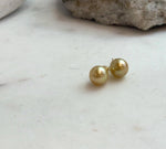 Elly’s 8.7mm Genius natural South sea Deep Tea Gold ocean Pearls Earrings studs: Extreme luster, S925 silver minimalist earrings studs.