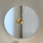Elly’s 8.1mm South Sea deep tea Gold ocean Pearl Shell pendant: Extreme luster mirrored, 1.1x1.5cm, S925 silver pendant.