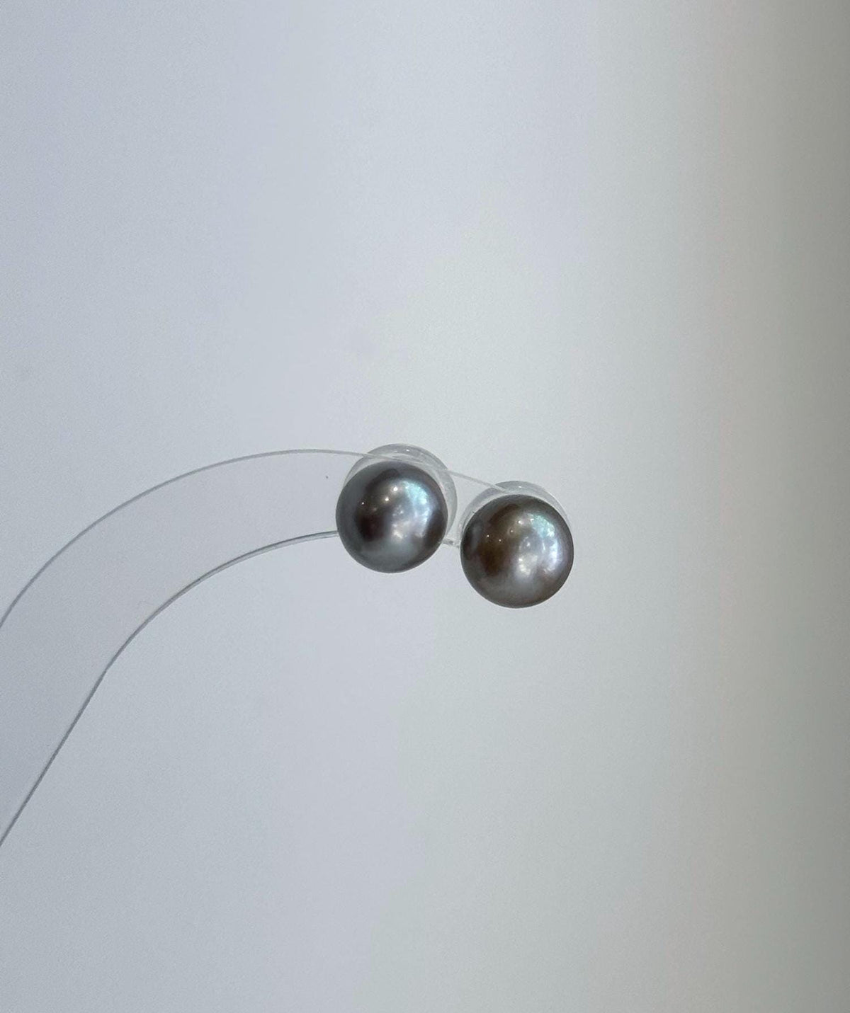 Classic genuine Tahitian saltwater pearl stud earrings with brilliant reflective shine.