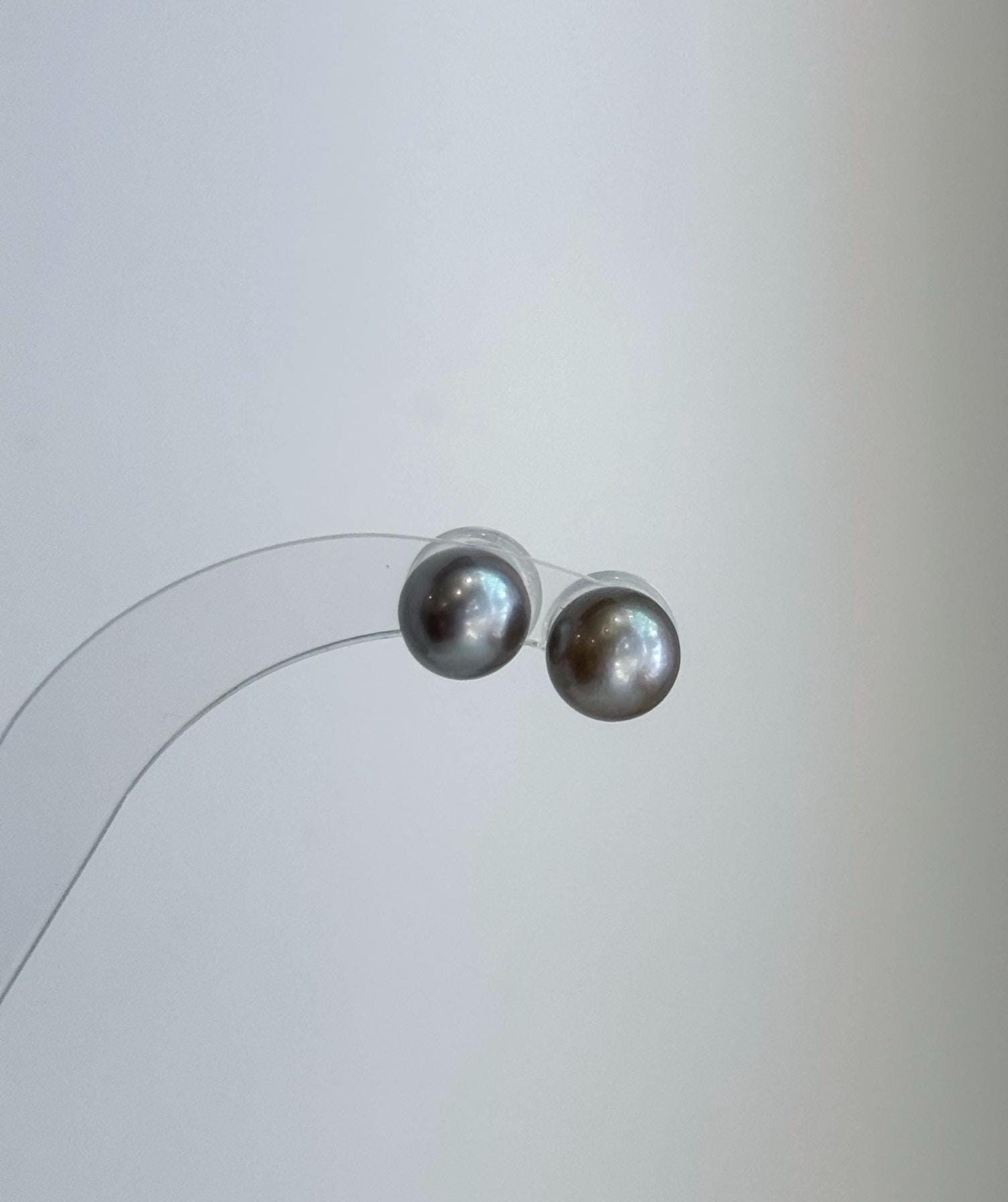 Classic genuine Tahitian saltwater pearl stud earrings with brilliant reflective shine.