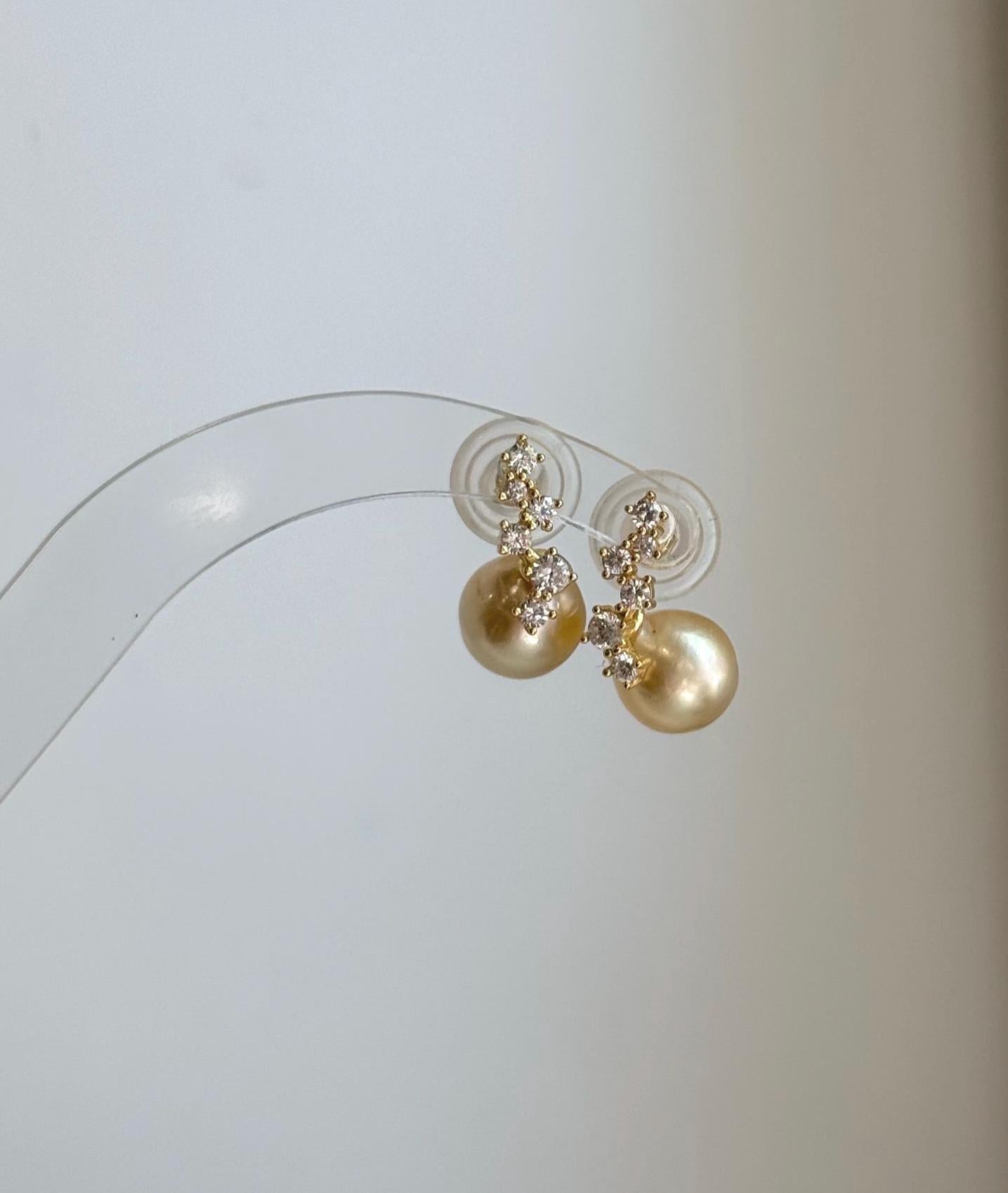 Classic golden saltwater pearl earrings presented in an elegant gift box.