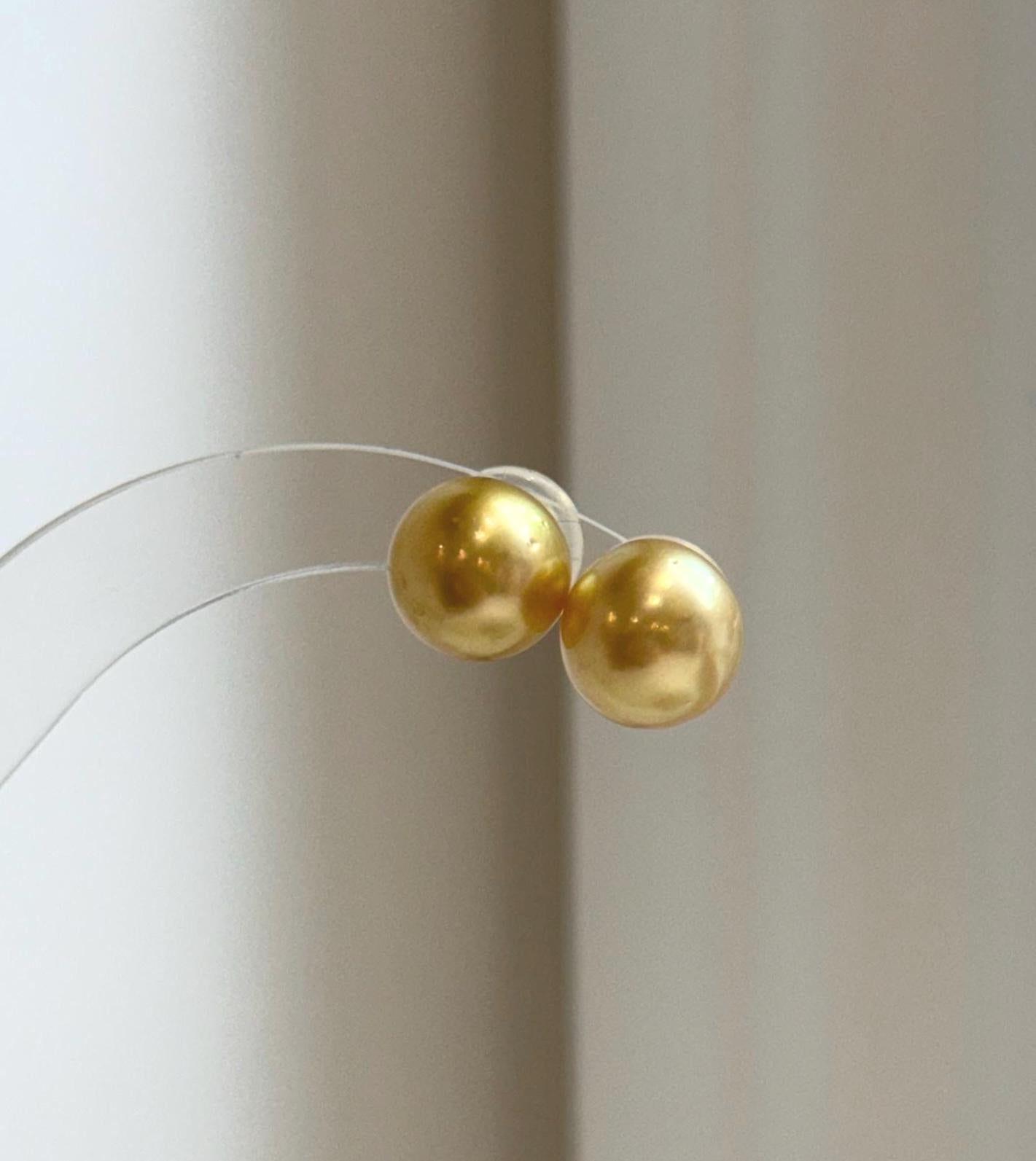 Genuine 11.6mm South Sea deep tea gold pearl stud earrings with mirror luster.