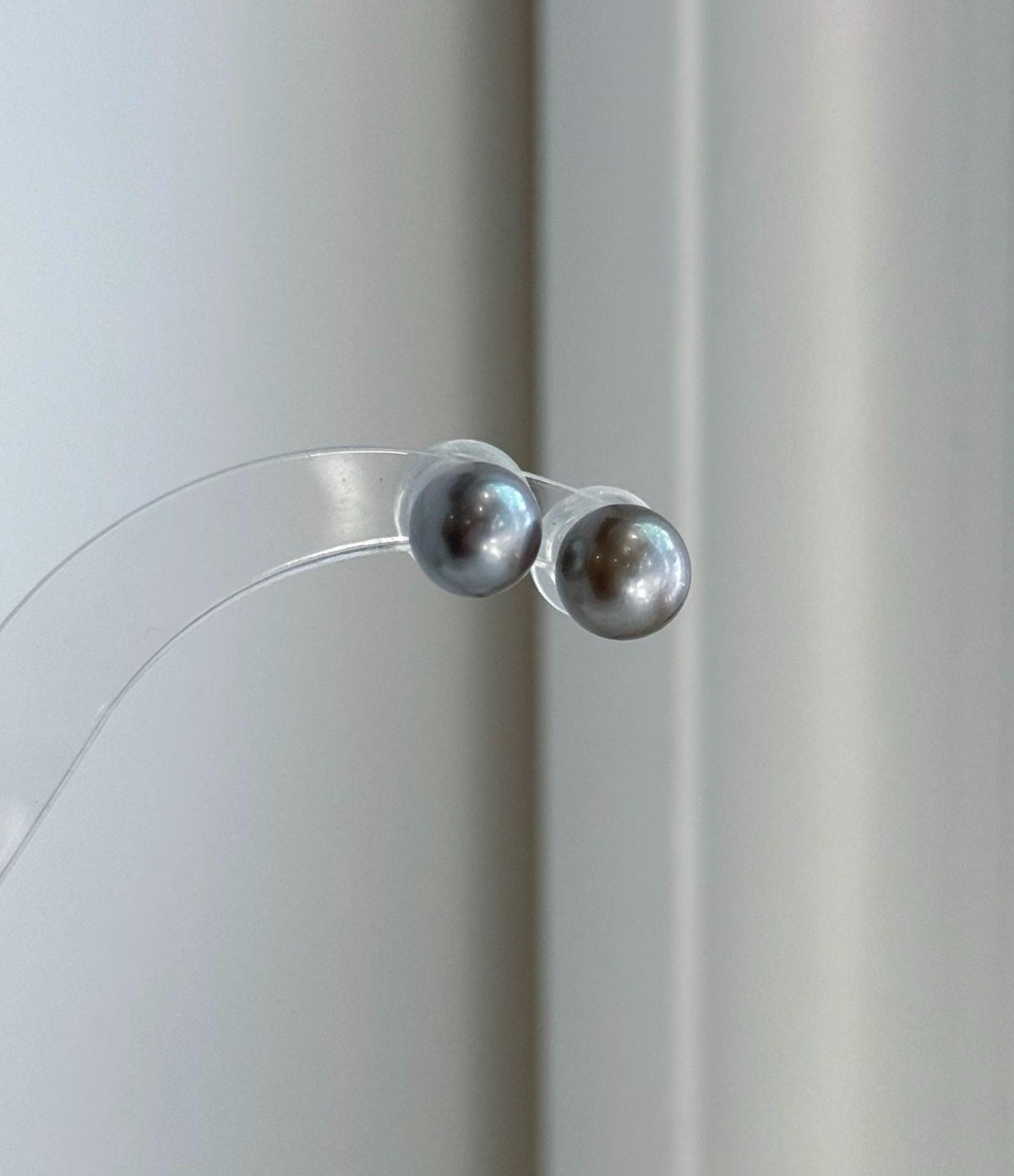 Gift-ready Tahitian platinum pearl stud earrings with mirror-like luster and sterling silver settings.