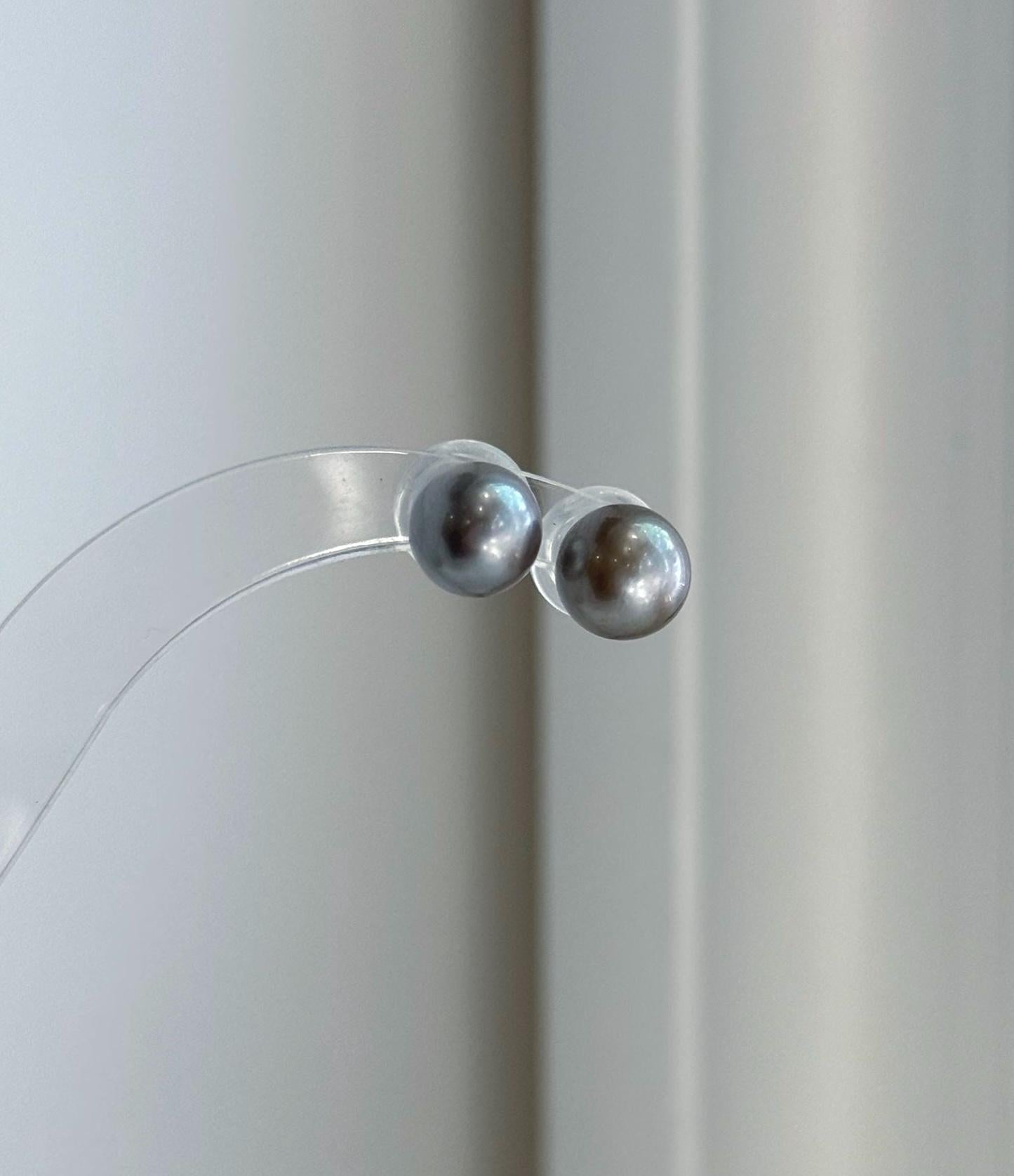 Gift-ready Tahitian platinum pearl stud earrings with mirror-like luster and sterling silver settings.