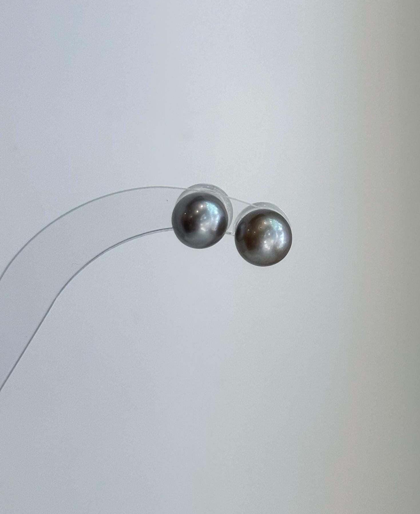 Gift-ready Tahitian platinum pearl stud earrings with mirror-like luster and sterling silver settings.