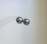 Round Tahitian pearl stud earrings in natural platinum color