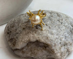 Close-up of 11.6mm deep golden South Sea pearl showing beautiful natural color and mirror-like luster.