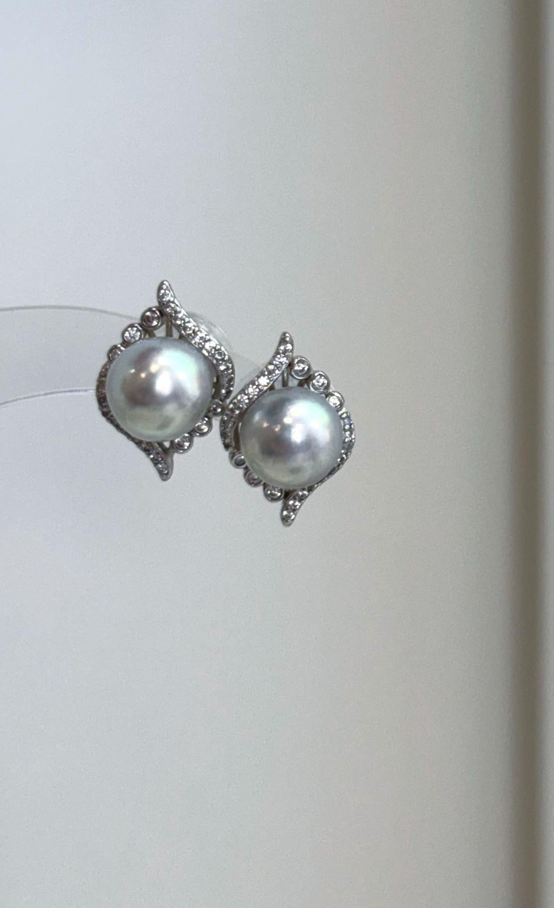 Luxury blue silver Akoya pearl earrings featuring genuine saltwater cultured pearls and bright reflective luster.