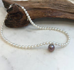 Purple Edison and white freshwater pearl necklace with mirror luster.